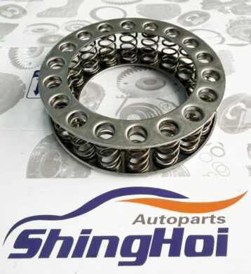 New 0B5 DL501 Transmission Clutch Spring Damper